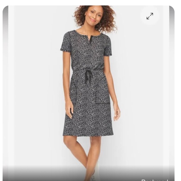 T by Talbots leopard print Cotton dress. - Picture 1 of 5